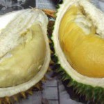 DurianBlog