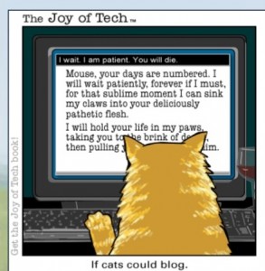 A blogging cat. Downloaded from: http://www.mediafuturist.com/2008/09/if-cats-could-b.html on July 11, 2013