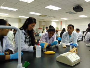 Homeschooled students isolating DNA from a banana in the laboratory. 