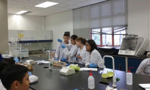 Kazakhstan students preparing reagents needed for isolating DNA.